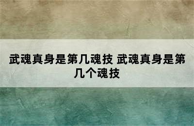 武魂真身是第几魂技 武魂真身是第几个魂技